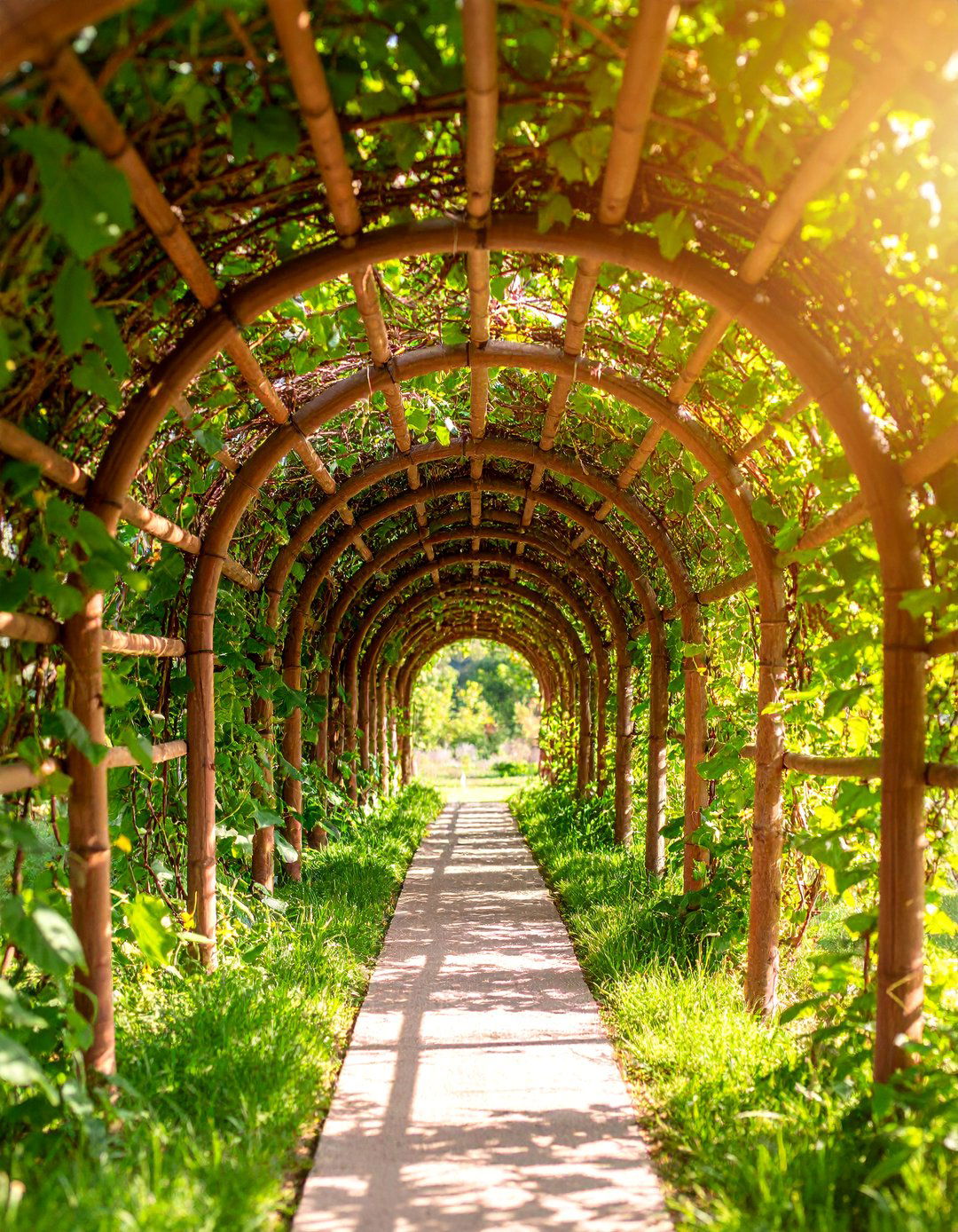 Arched Bamboo Cucumber Trellis Tunnel - 25 Cucumber Trellis Ideas