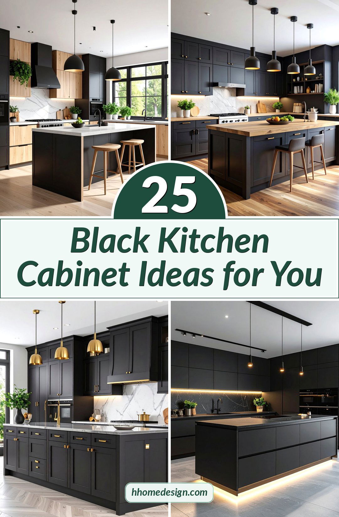 25 Black Kitchen Cabinet Ideas for You