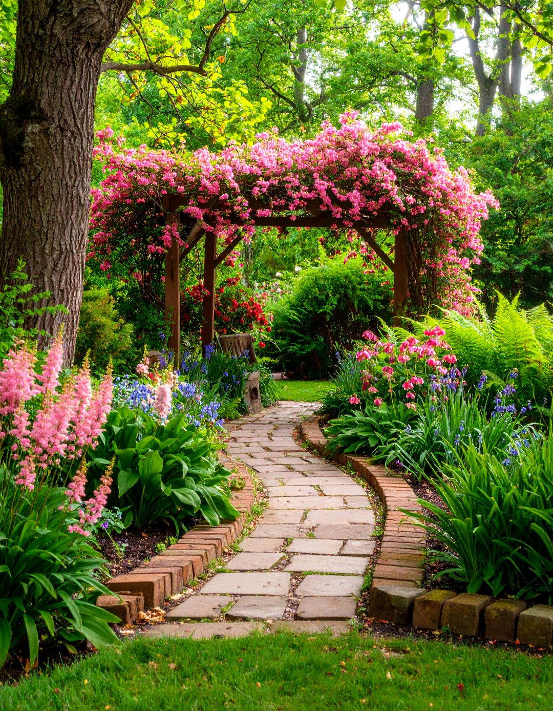 Blush and Green Shaded Pink Garden - 25 Pink Garden Ideas
