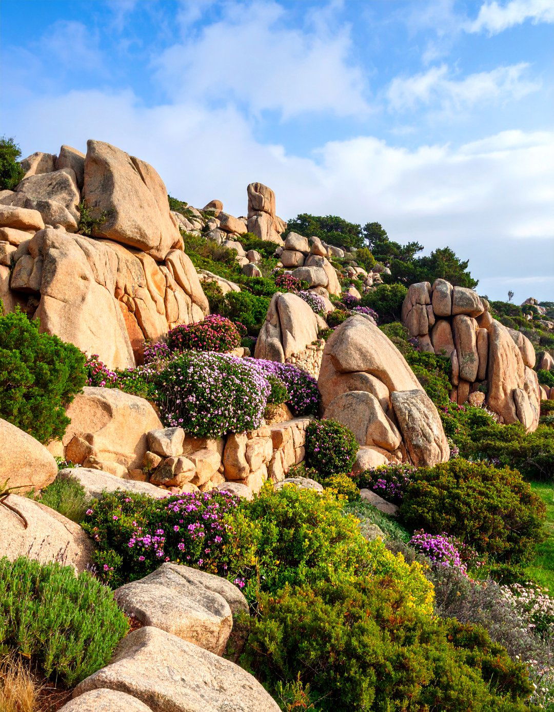 Boulder Retaining Wall with Natural Outcropping Design - 25 Natural Rock Retaining Wall Ideas