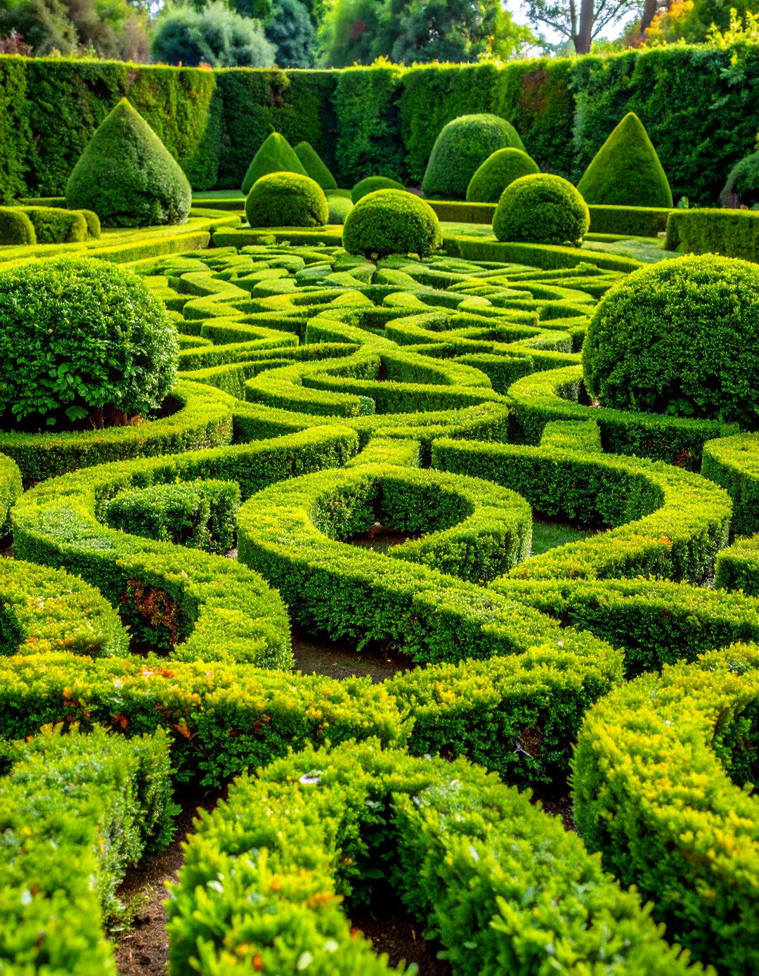 Boxwood Knot Garden Pattern Design - 25 Front Yard Boxwood Designs