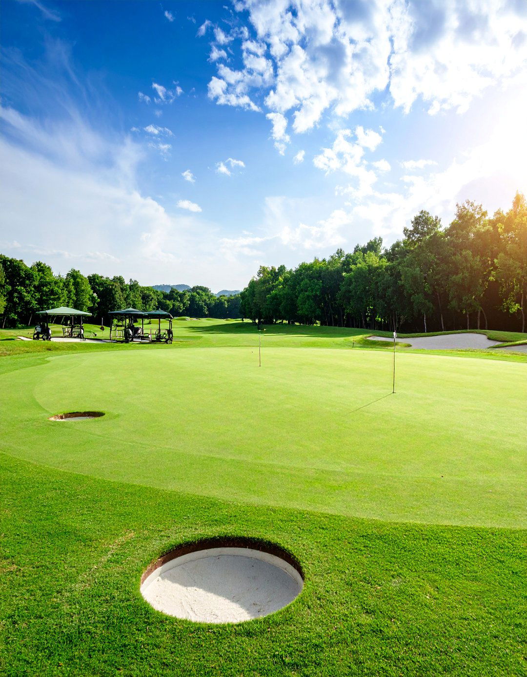 Chipping Green Complex with Multiple Target Areas - 25 Backyard Putting Green Ideas