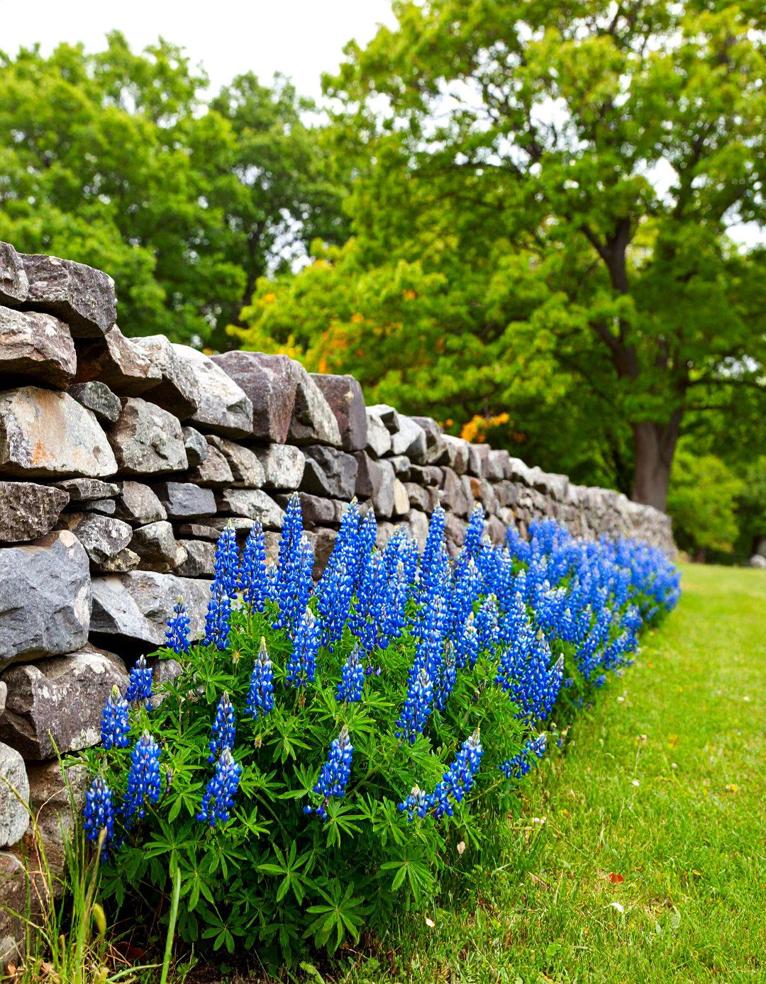 Connecticut Bluestone Dry Stack Wall - 25 Natural Rock Retaining Wall Ideas