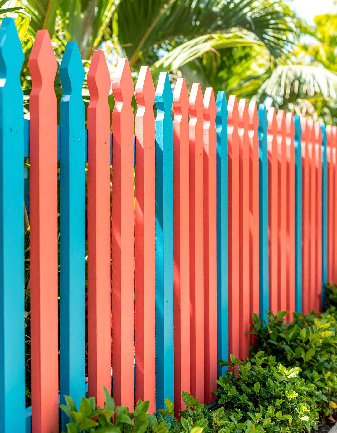 Coral Splash Tropical Fence - 25 Fence Paint Colours