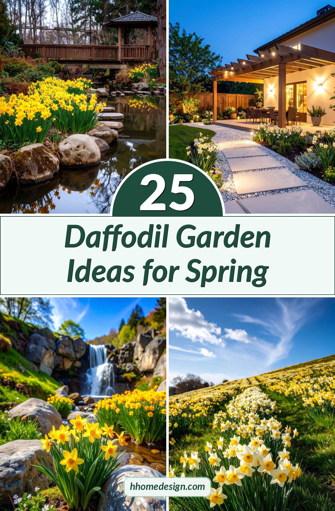 25 Daffodil Garden Ideas for Spring