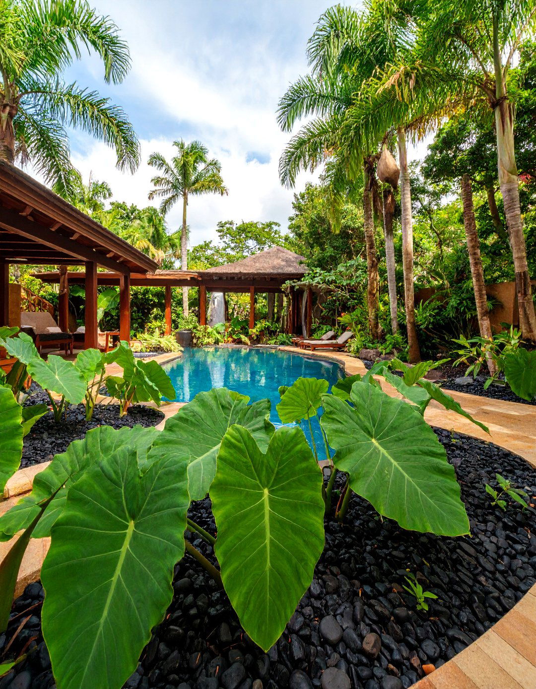 Elephant Ear Jungle with Black Volcanic Rock - 25 Tropical Pool Landscaping Ideas