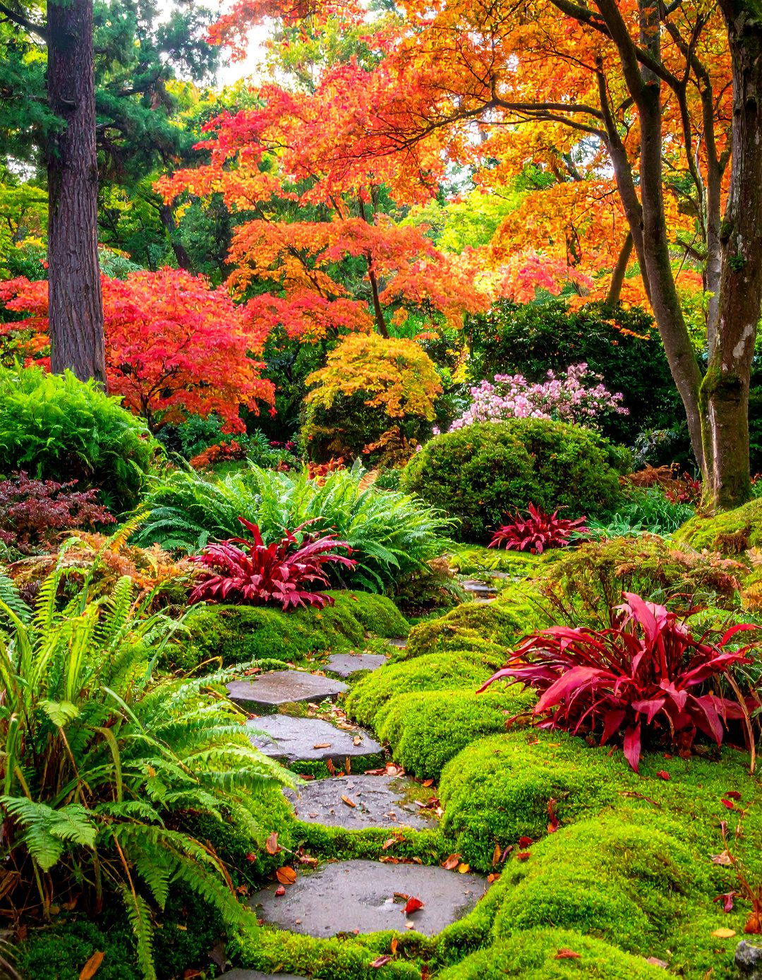 Fall Moss and Shade Garden Retreat - 25 Fall Garden Ideas