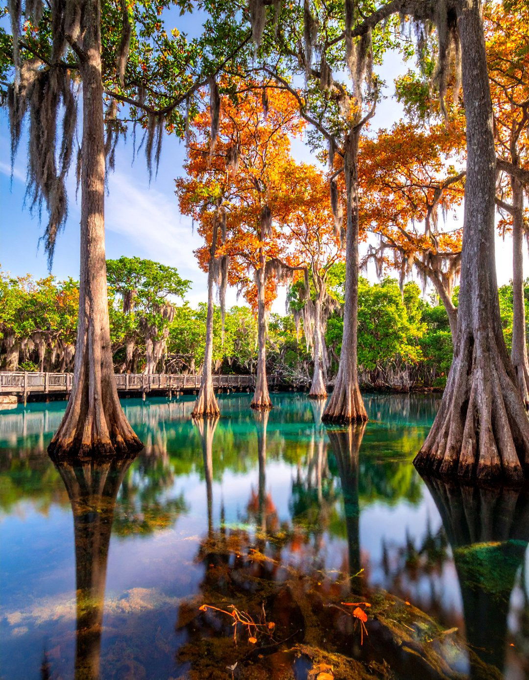 Florida Everglades Lagoon - 25 Lagoon Pool Ideas