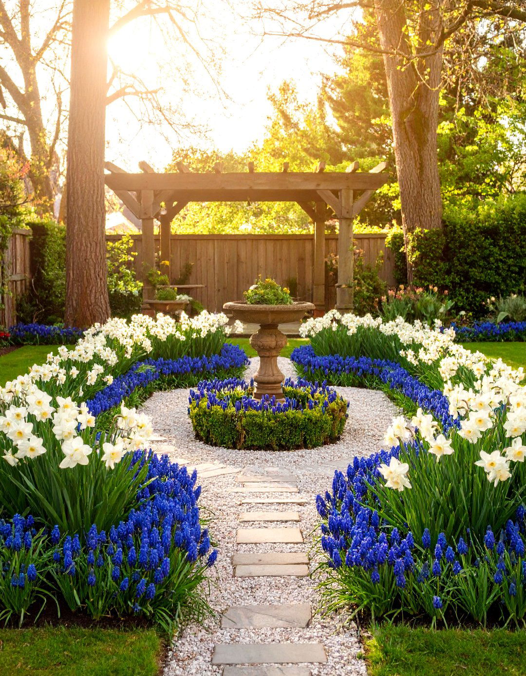 Formal Daffodil Parterre Garden - 25 Daffodil Garden Ideas