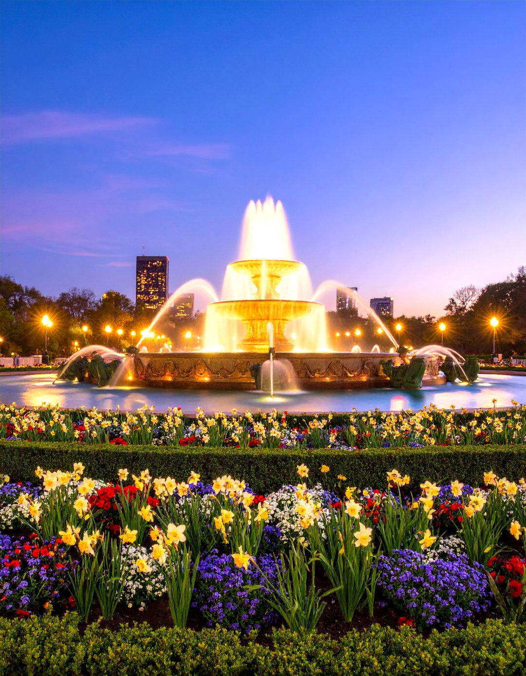Fountain Framed Daffodil Plaza - 25 Daffodil Garden Ideas