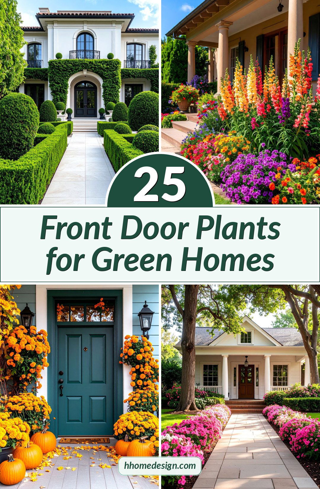 25 Front Door Plants for Green Homes