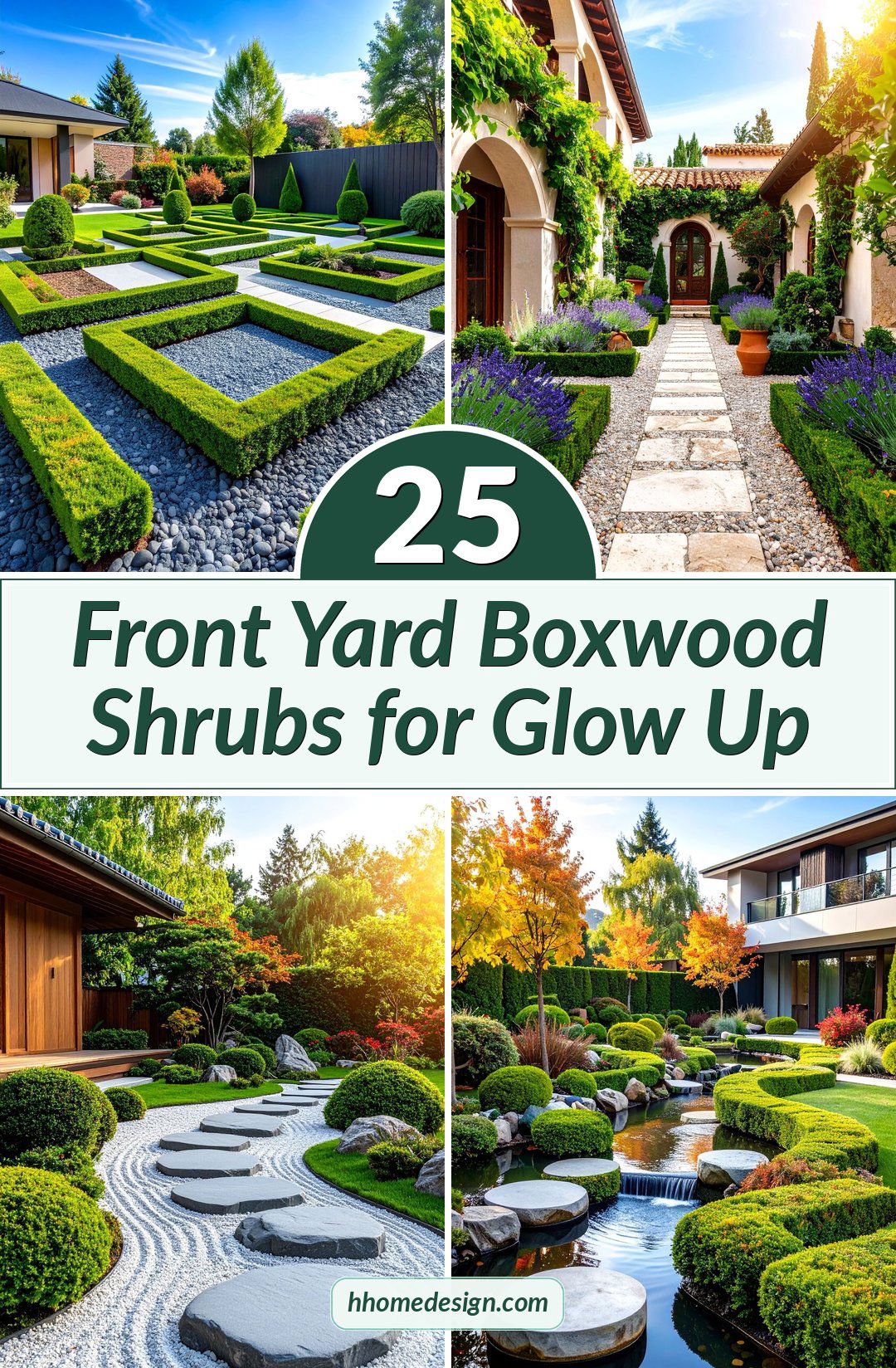 25 Front Yard Boxwood Shrubs for Glow Up