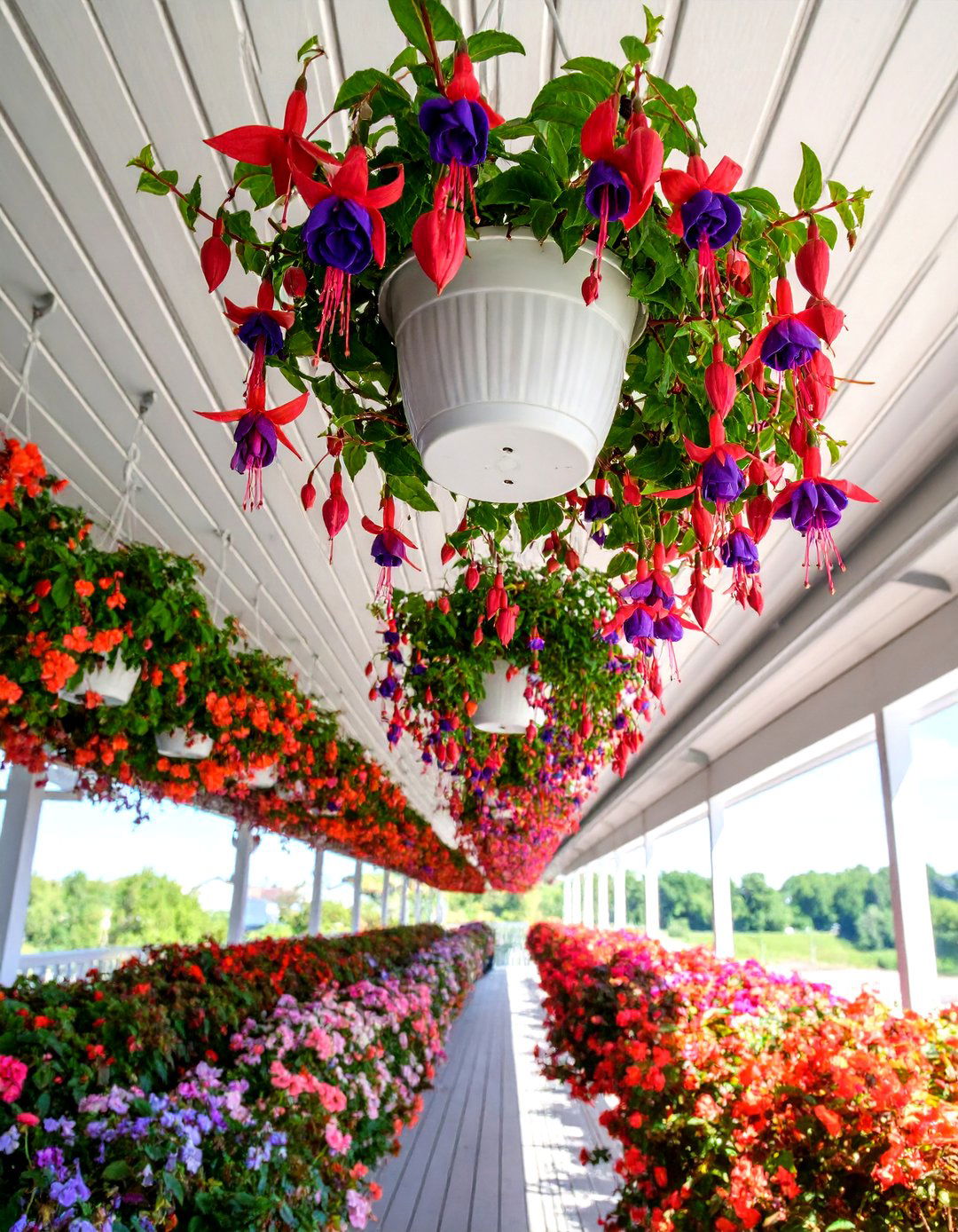 Hanging Basket Ceiling Garden - 25 Deck Decorating Ideas With Plants