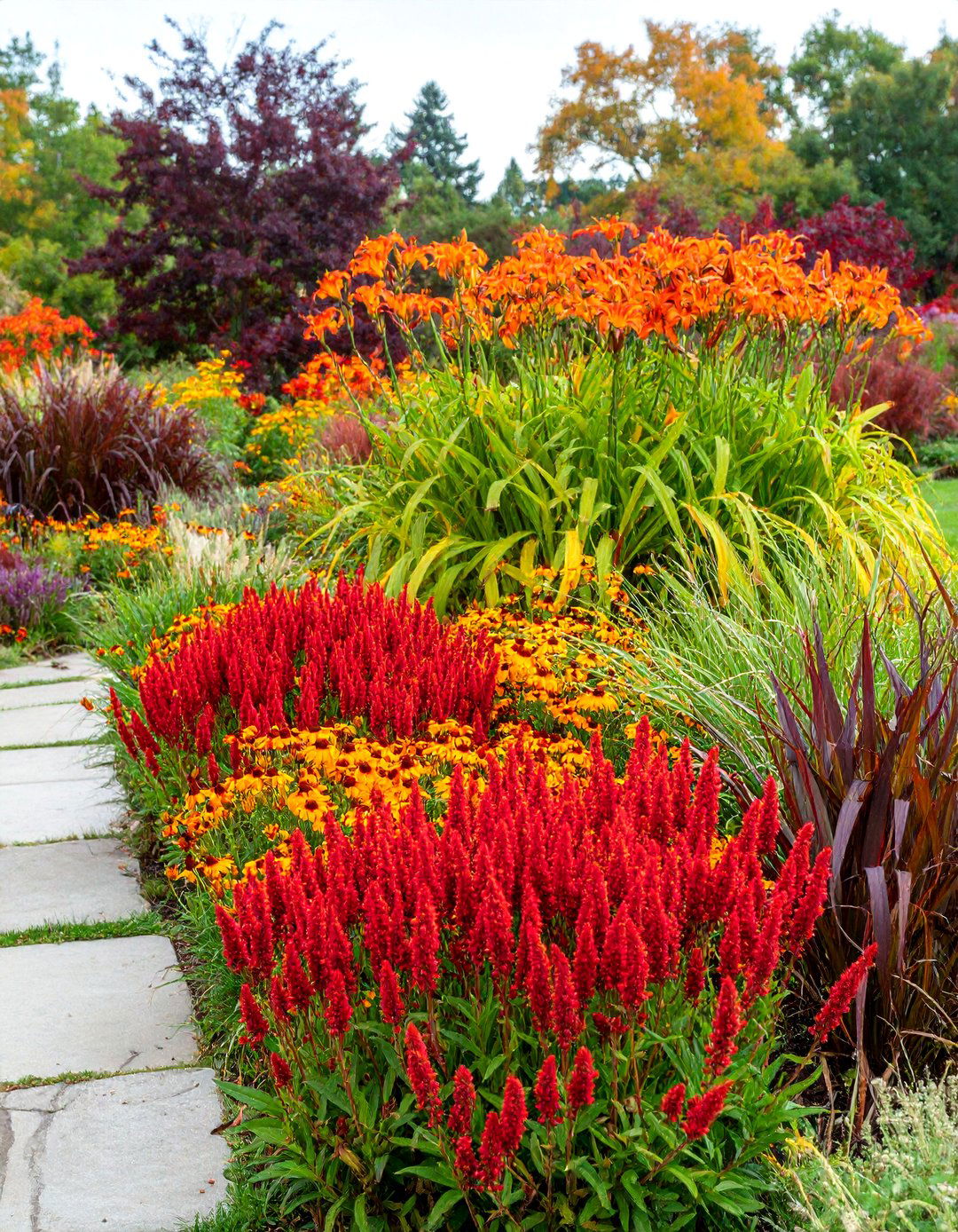 Hot Color Perennial Fire Garden - 25 Perennial Flower Bed Ideas