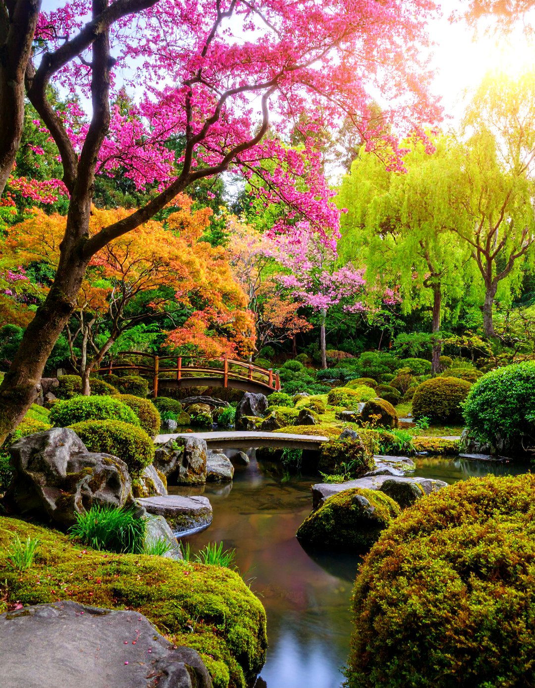 Japanese Inspired Spring Harmony - 25 Spring Garden Ideas