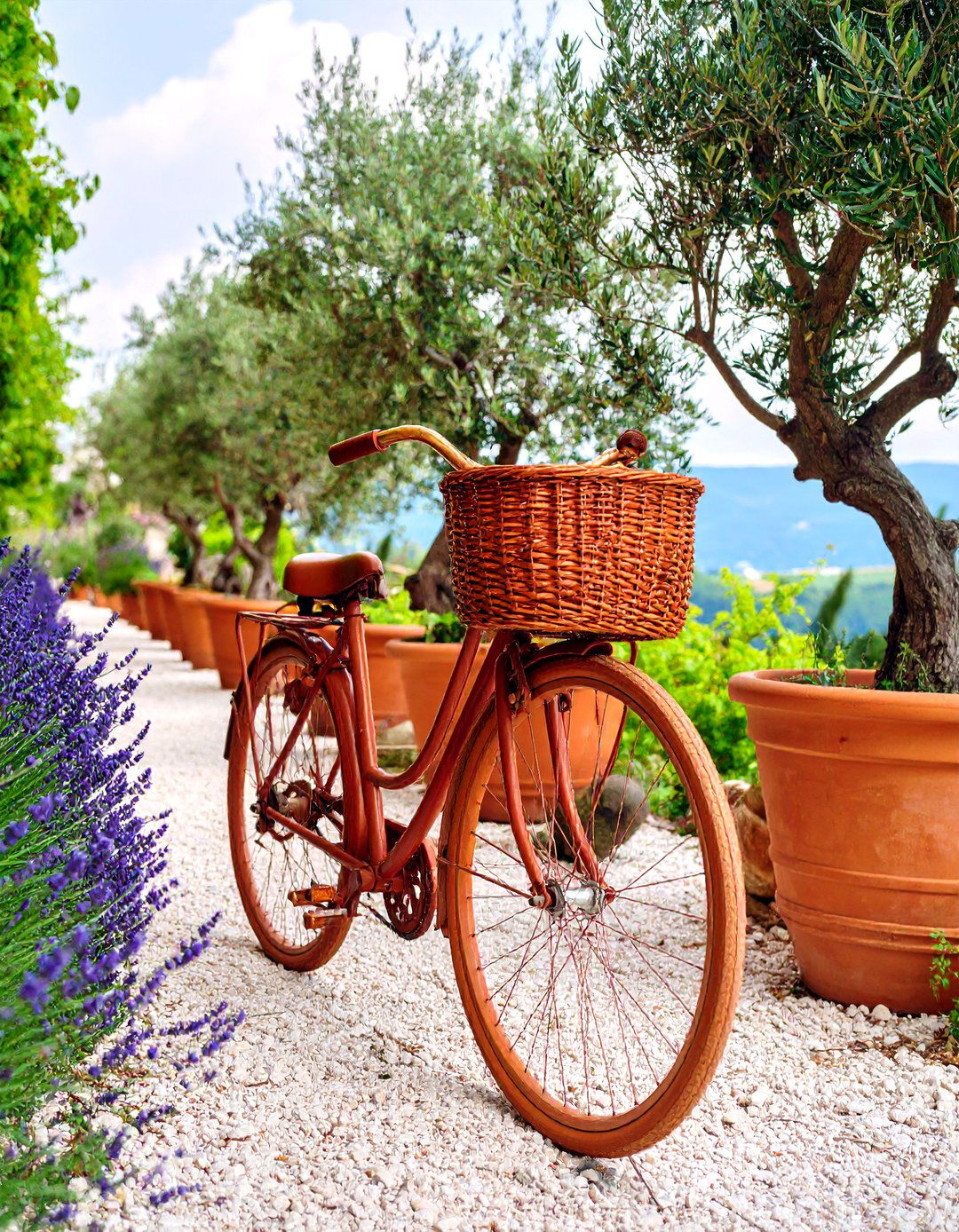 Mediterranean Bicycle Olive Garden - 25 Old Bicycle Garden Ideas