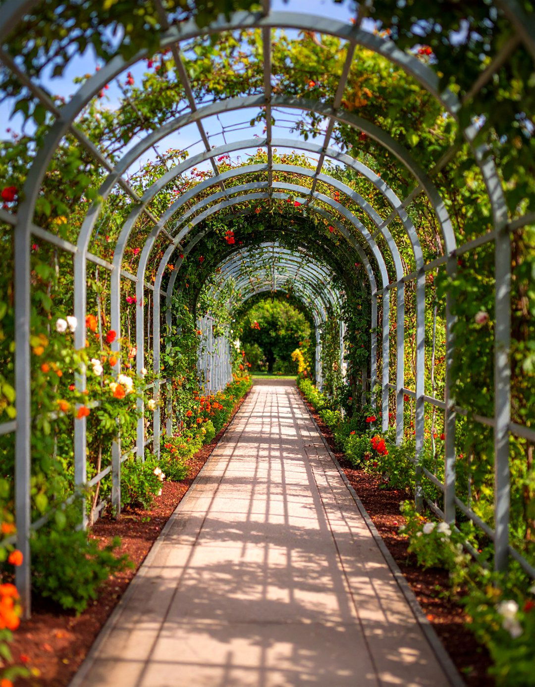 Metal Trellis Garden Walkway - 25 Covered Walkway Ideas