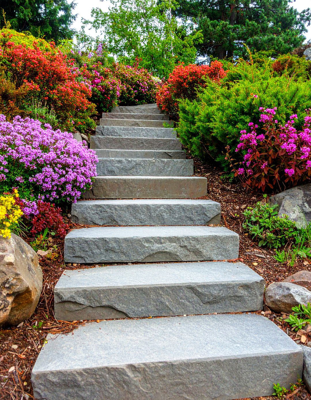 Multi Colored Slate Steps with Rock Garden Alpines - 25 Flagstone Steps