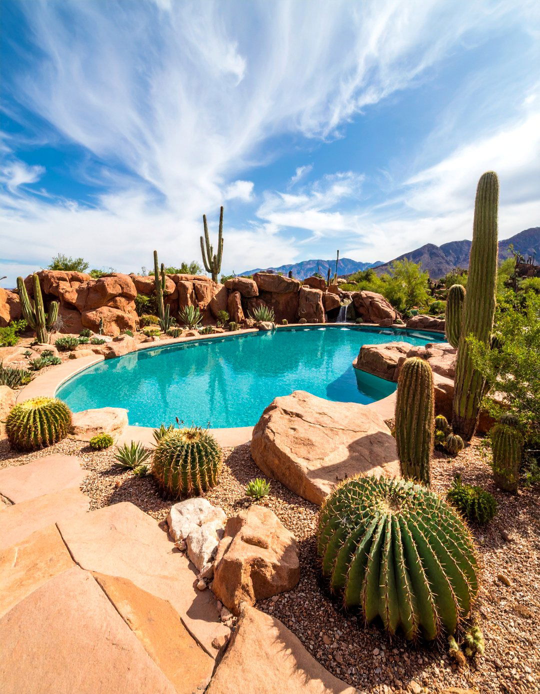 Natural Desert Oasis with Cacti and Succulents - 25 Pool Landscaping Ideas