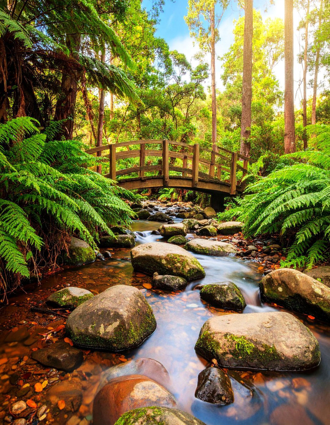 Natural River Rock Stream Bed - 25 Stone Garden Ideas