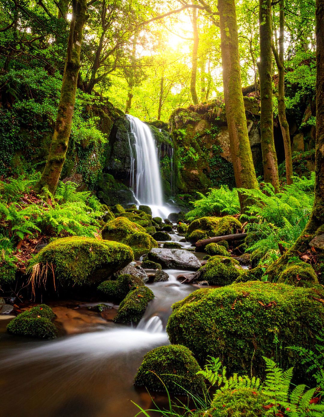 Natural Woodland Grotto - 25 Backyard Waterfall Ideas