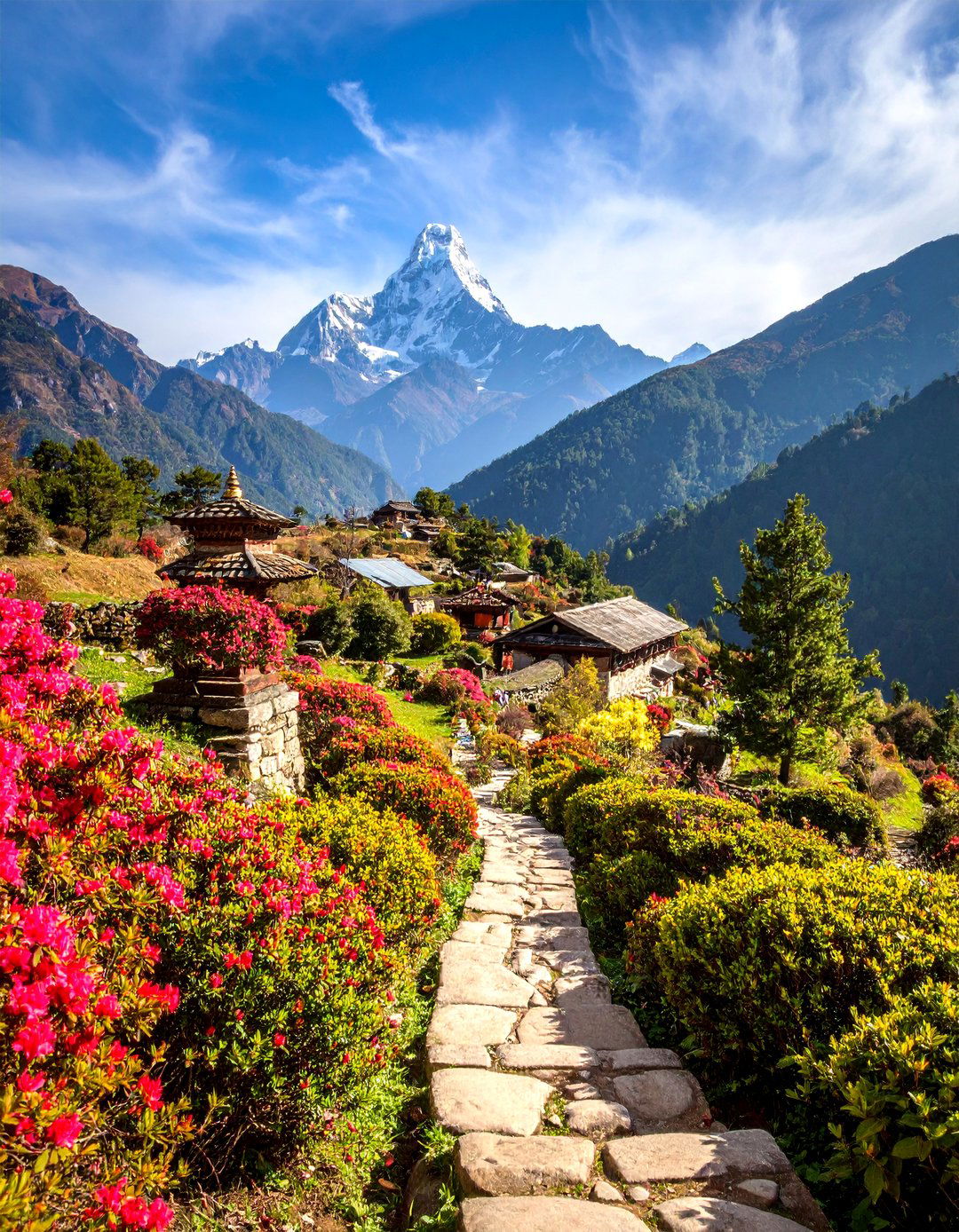 Nepalese Sherpa Garden with Mountain Views - 25 Asian Landscaping Ideas