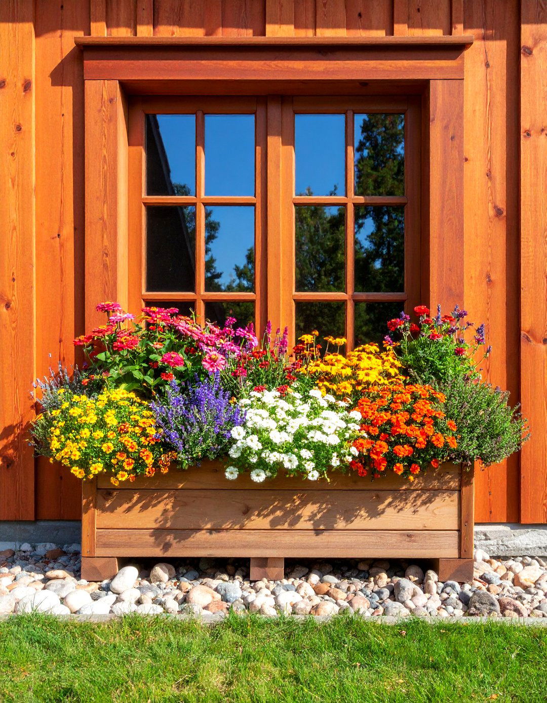Pollinator Friendly Window Box Sanctuary - 25 window box ideas