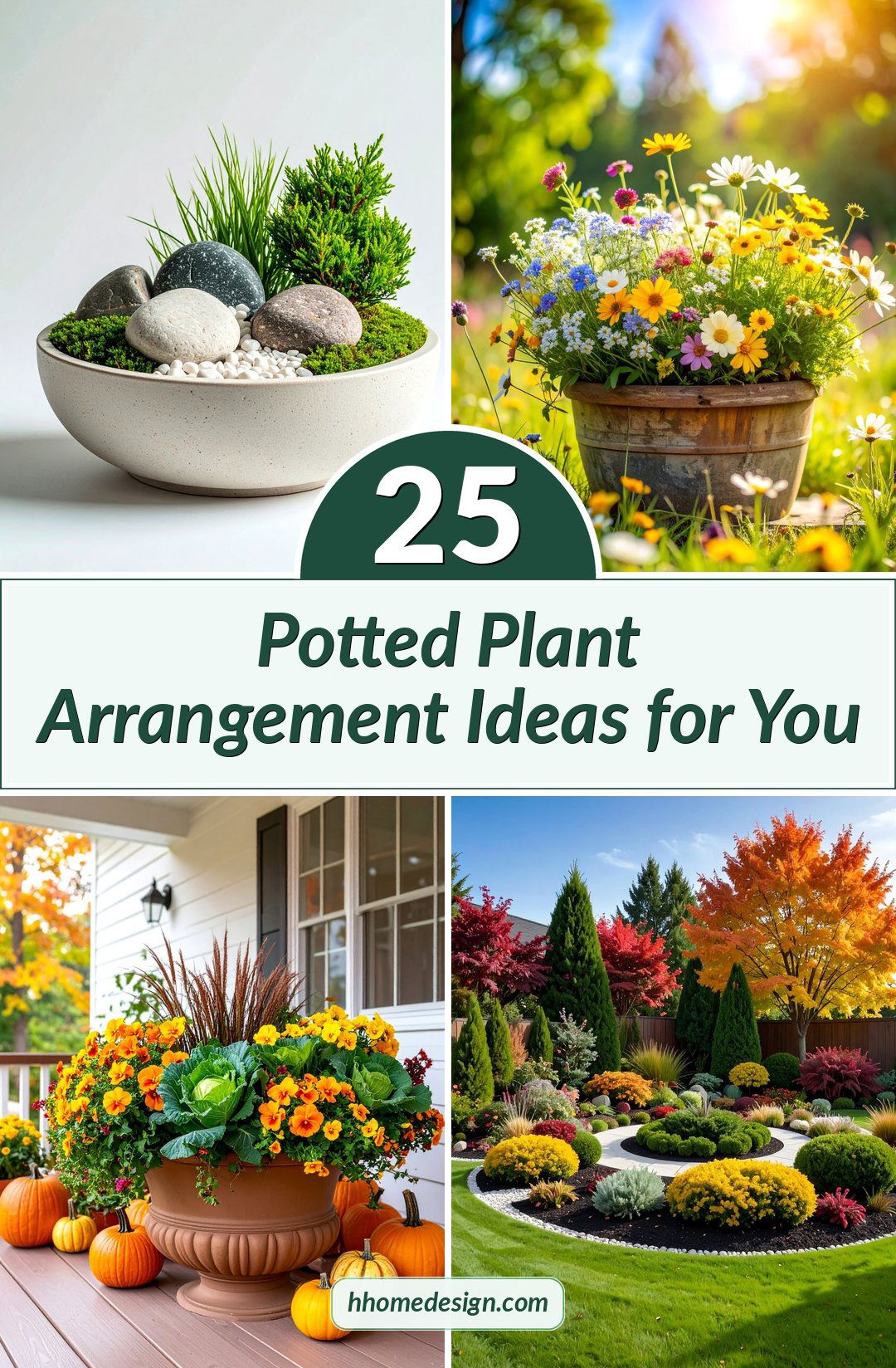 25 Potted Plant Arrangement Ideas for You