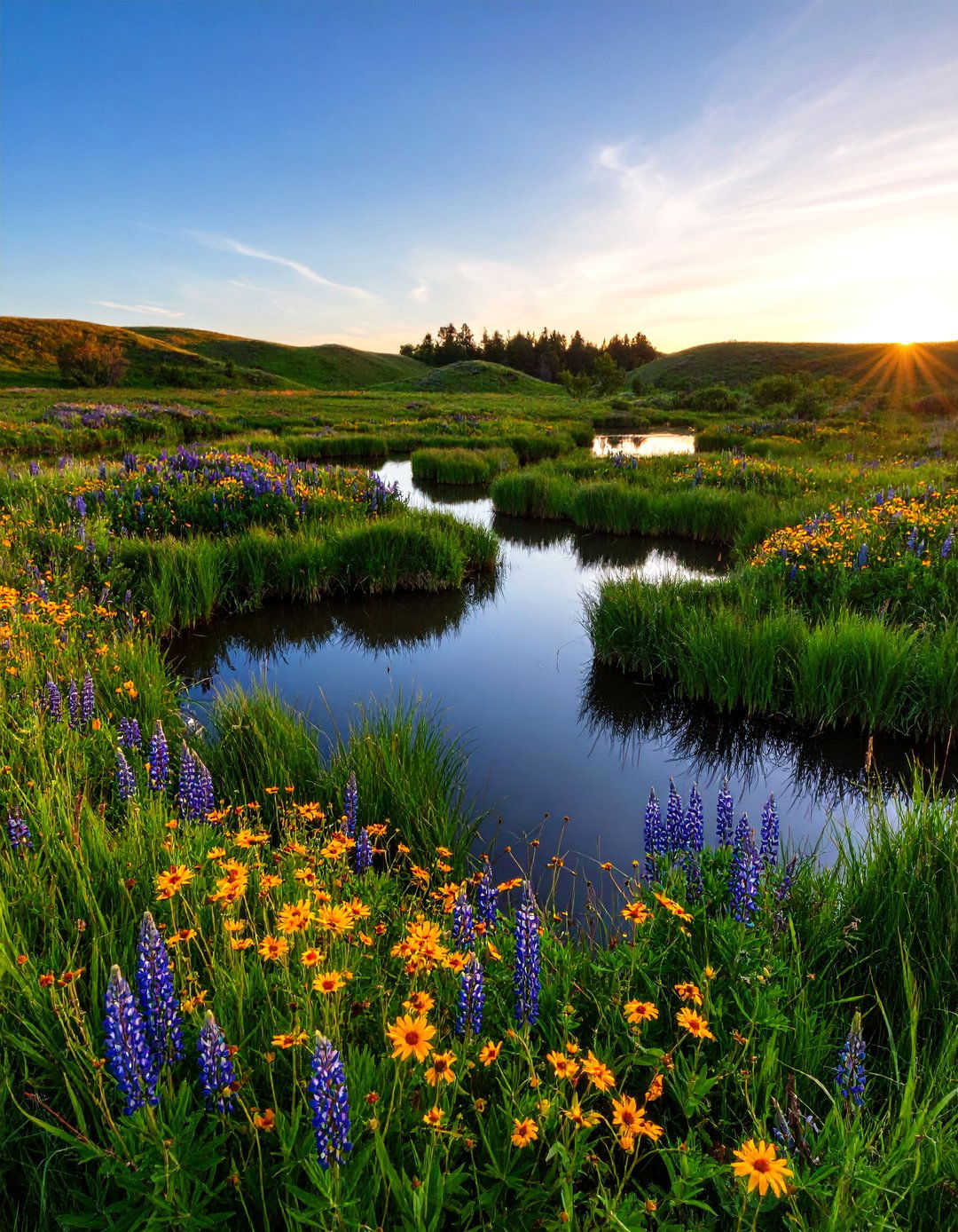Prairie Pothole Wetland Feature - 25 Pondless Waterfall Ideas