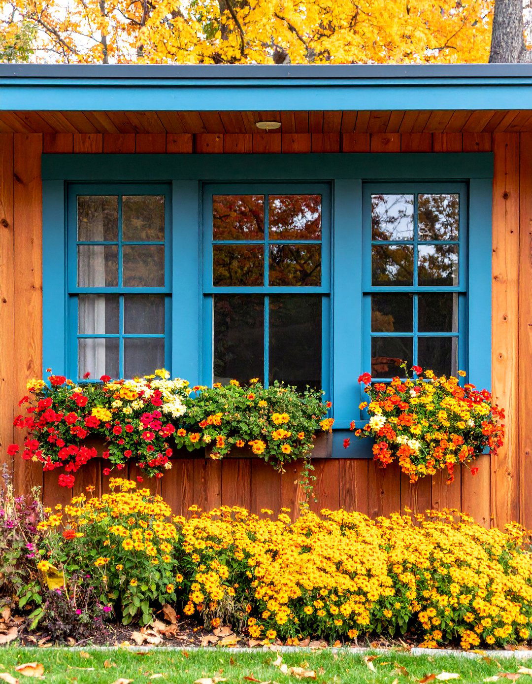 Prairie Style Window Trim with Horizontal Emphasis - 25 Exterior Window Trim Ideas