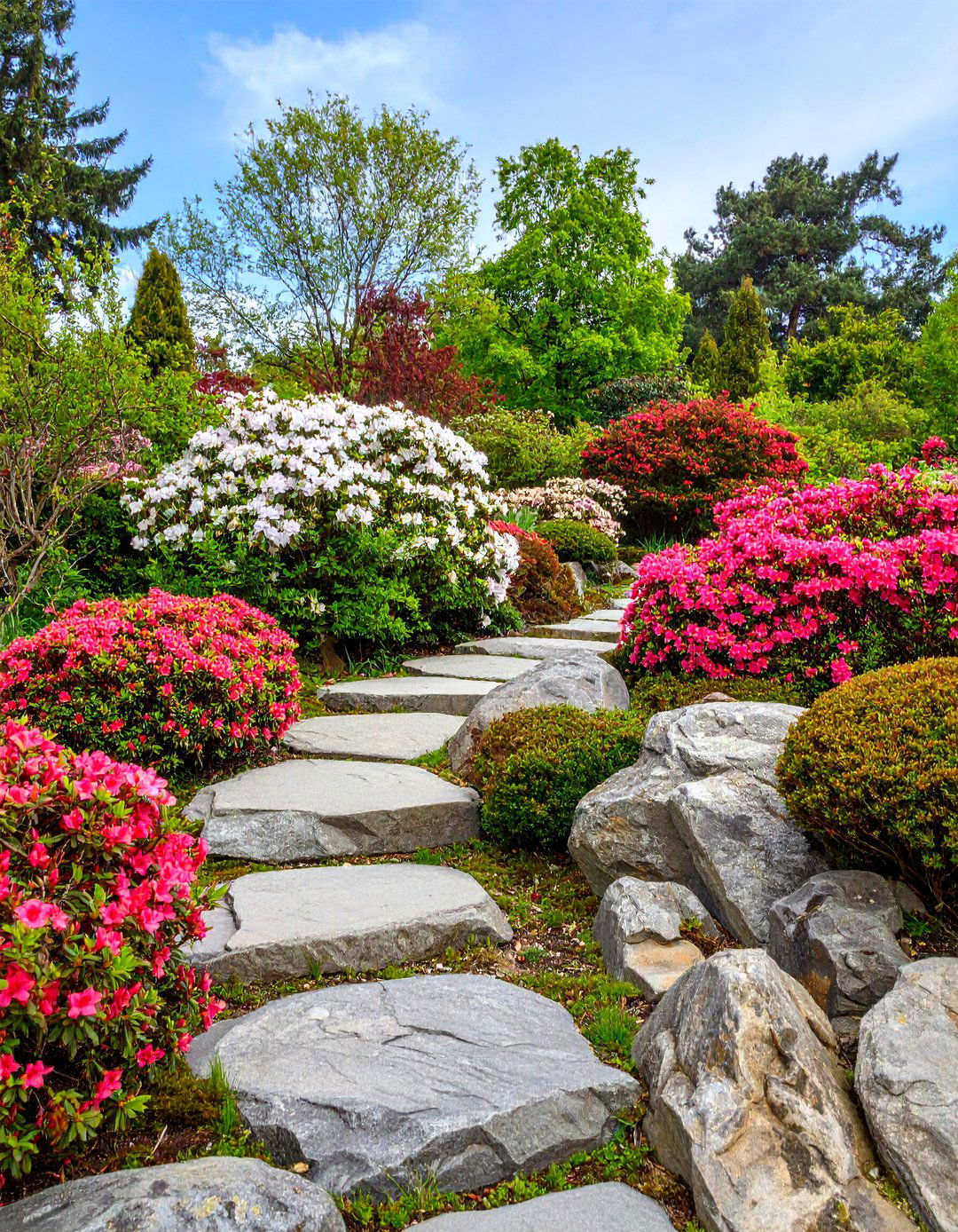 Rock Garden Azalea Design with Alpine Plants - 25 Azalea Garden Ideas