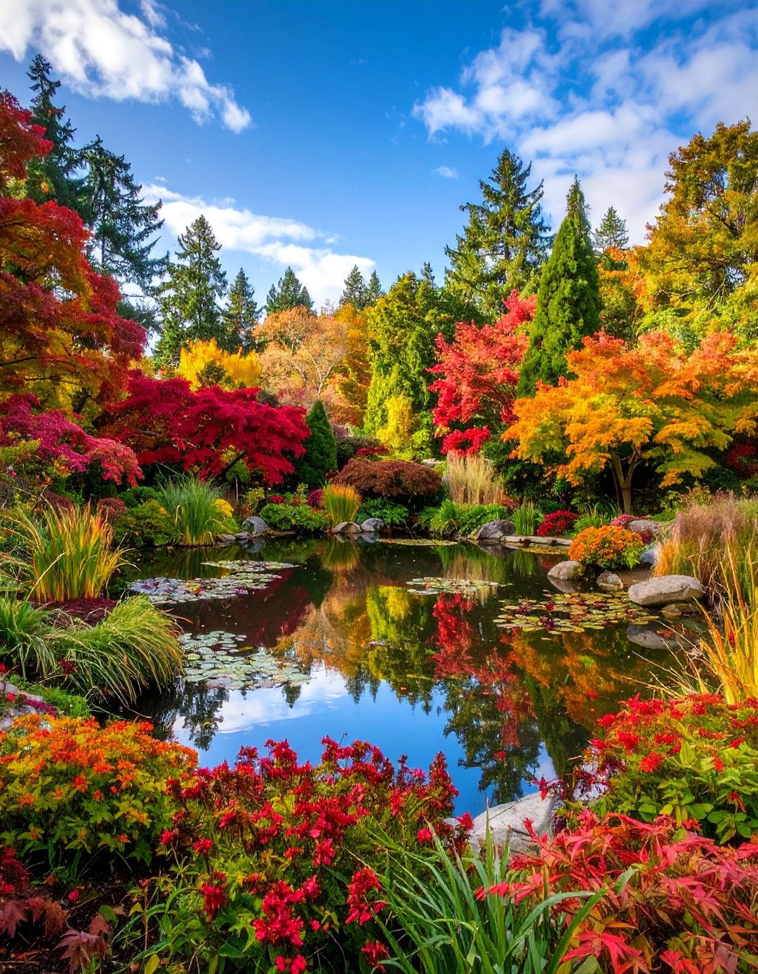 Seasonal Color Display Backyard Pond - 25 Backyard Pond Ideas