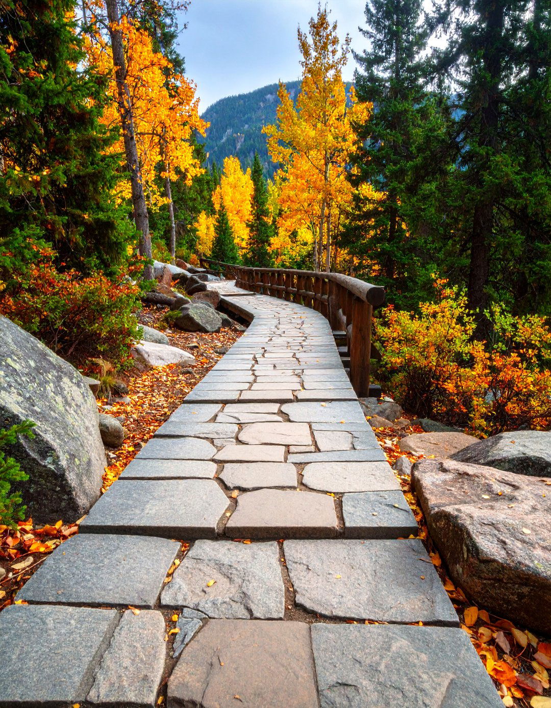Split Face Granite Rustic Walkway - 25 Granite Walkway Ideas