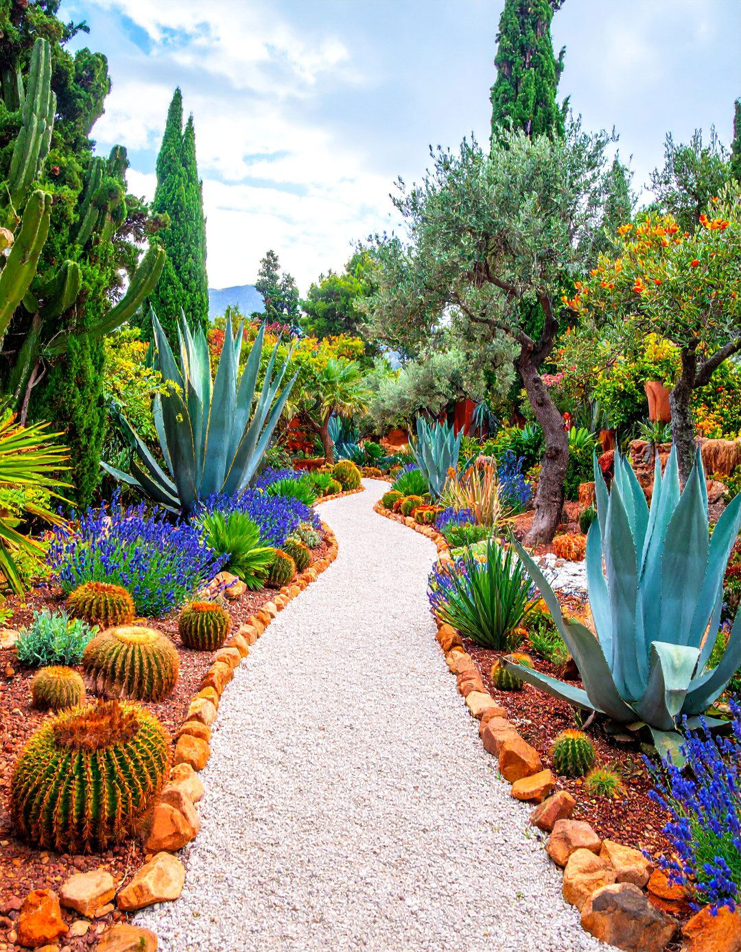 Succulent Desert Mediterranean Fusion - 25 Mediterranean Garden Ideas