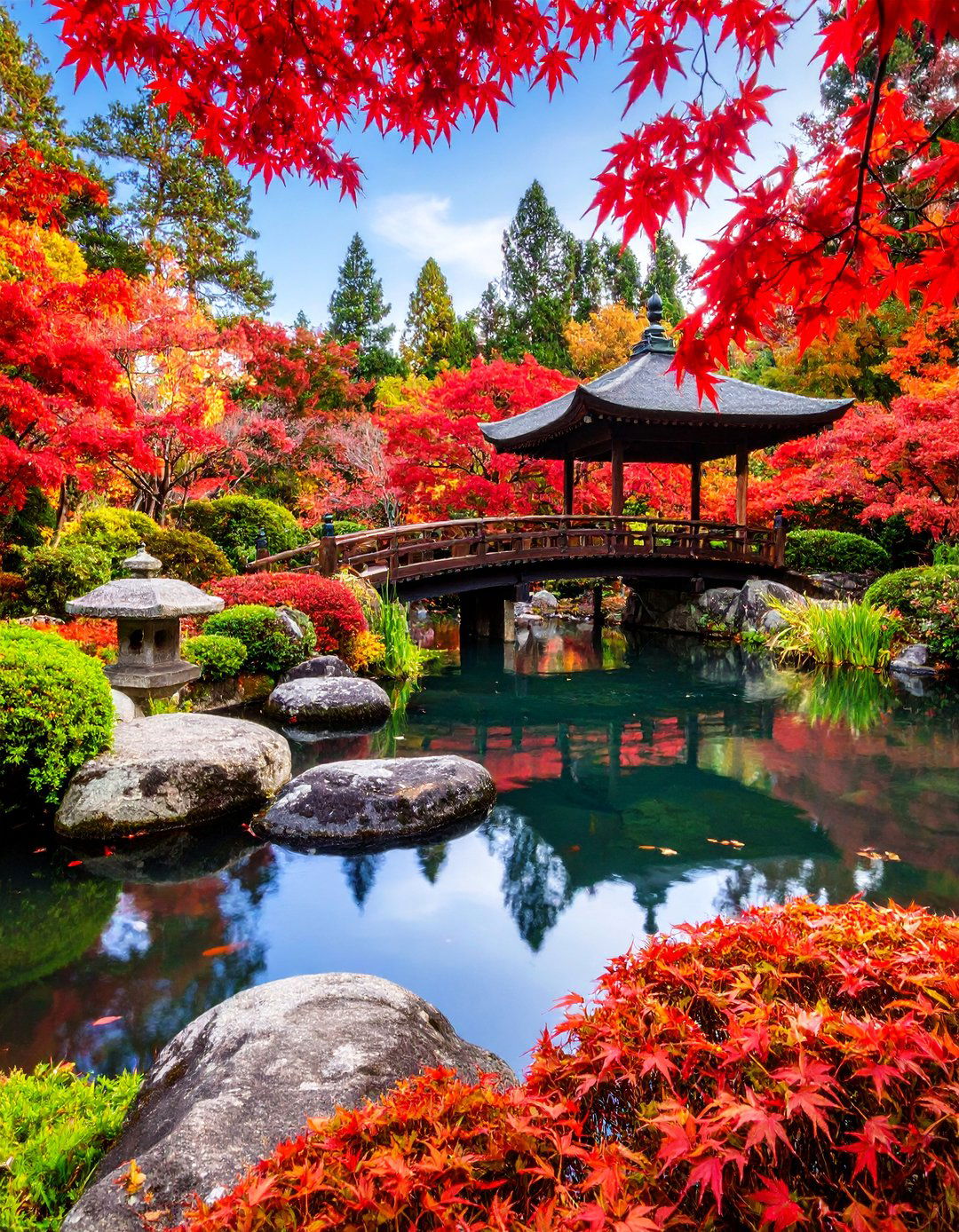 Sunken Japanese Tea Garden Pool - 25 Small Garden Reflecting Pool Ideas