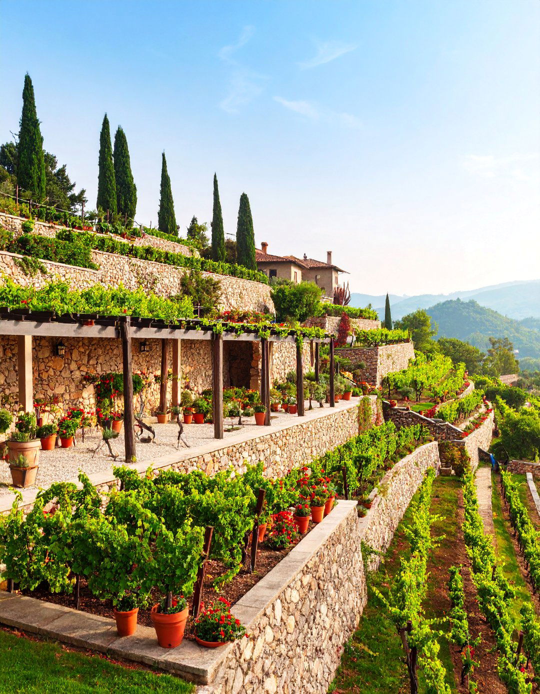 Terraced Hillside Vineyard Garden - 25 Mediterranean Garden Ideas