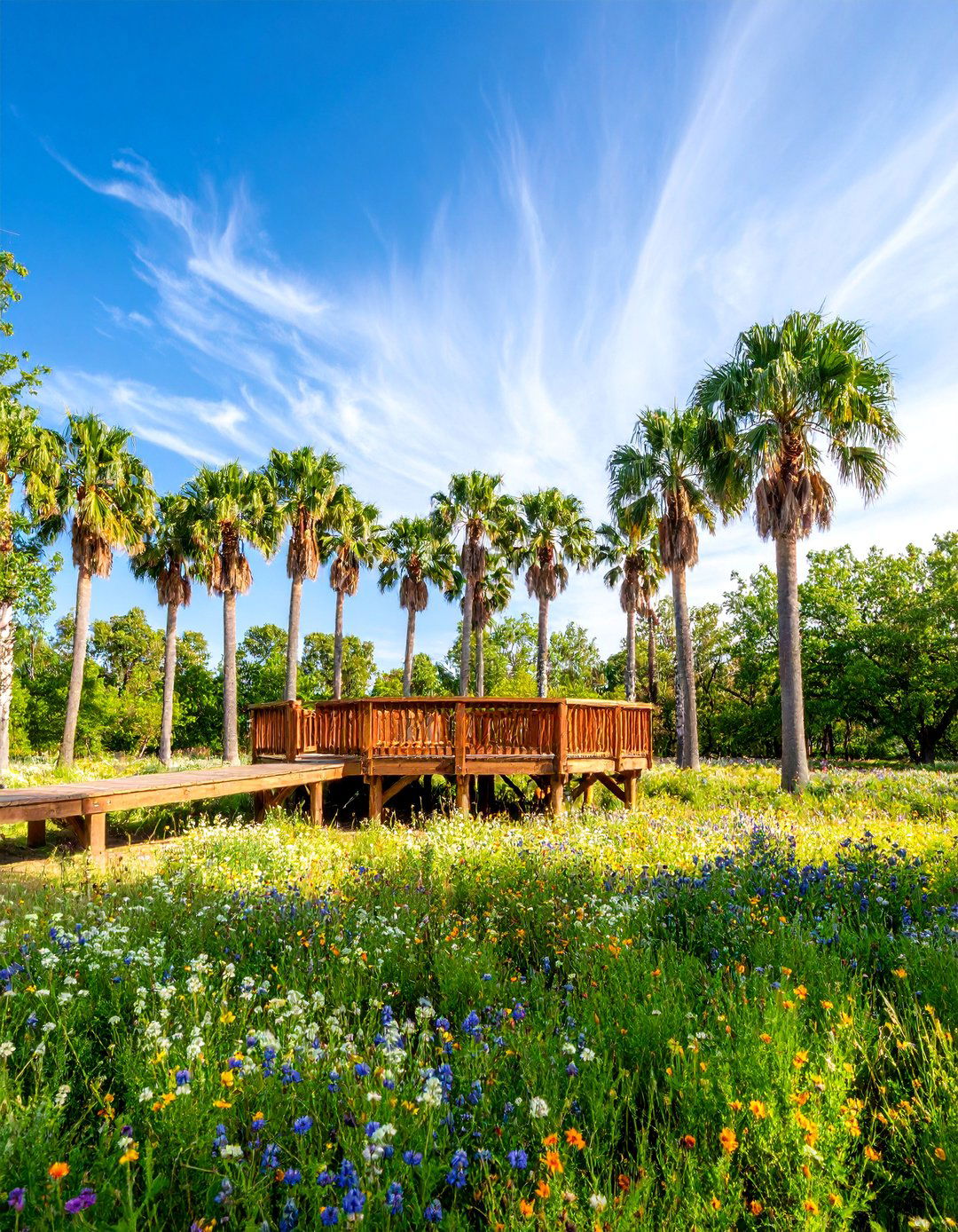Tropical Backyard Pollinator Palm Meadow - 25 Tropical Backyard Ideas