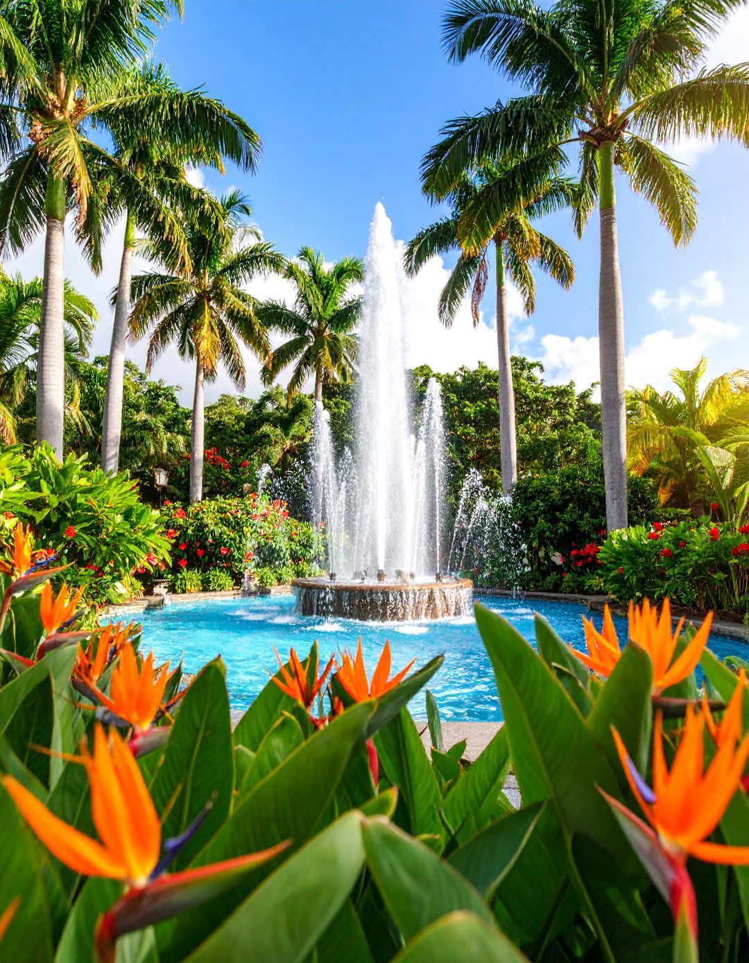Tropical Paradise with Palm Trees and Lush Foliage - 25 Landscaping Ideas