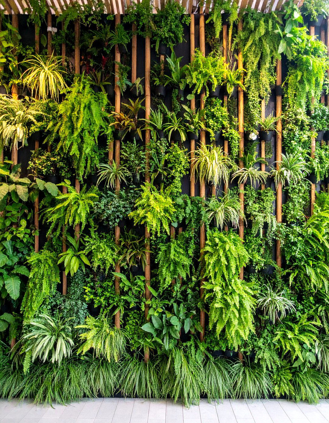 Tropical Vertical Garden Wall with Living Architecture - 25 Tropical Landscape Ideas