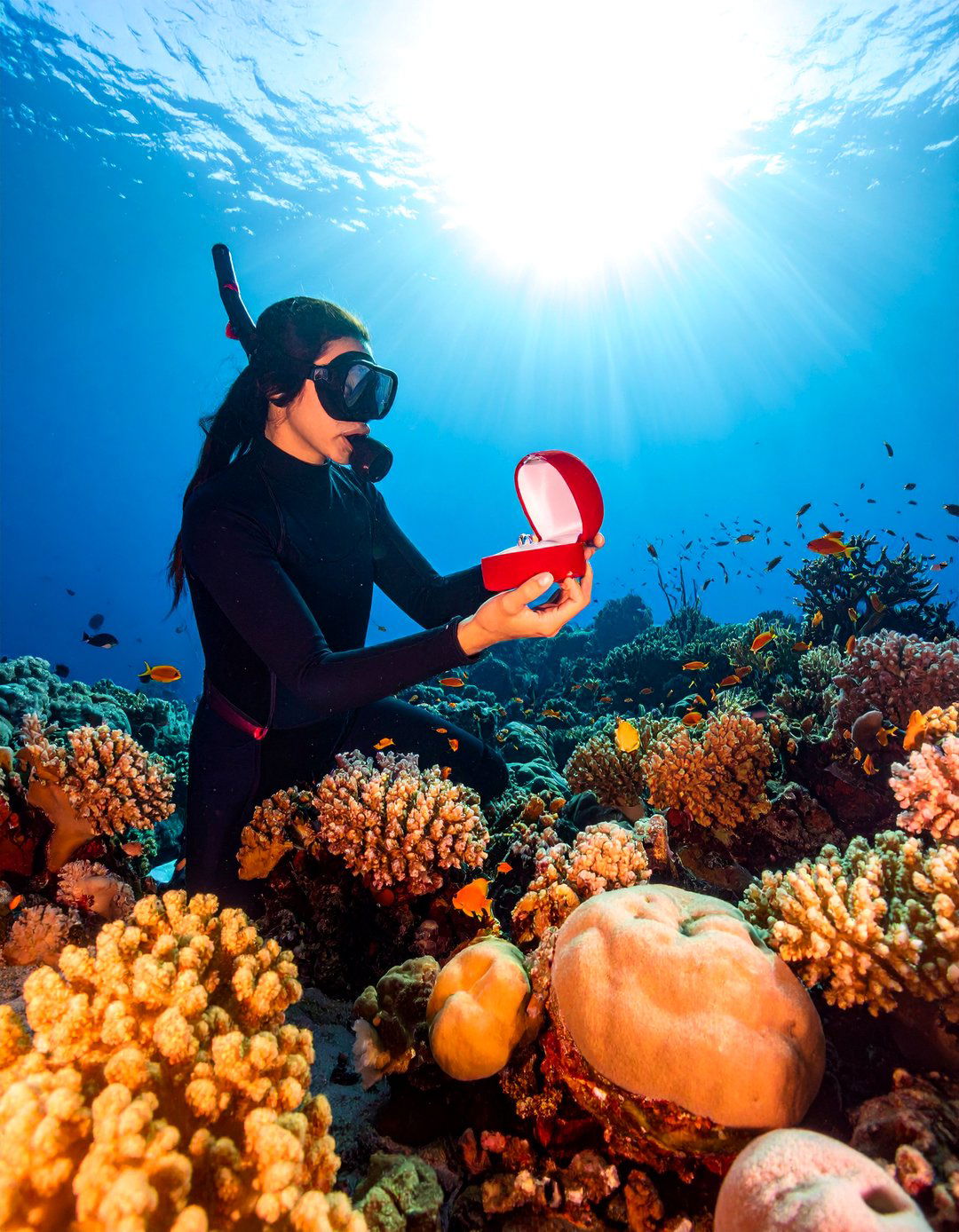 Underwater Diving Proposal - 25 Wedding Proposal Ideas
