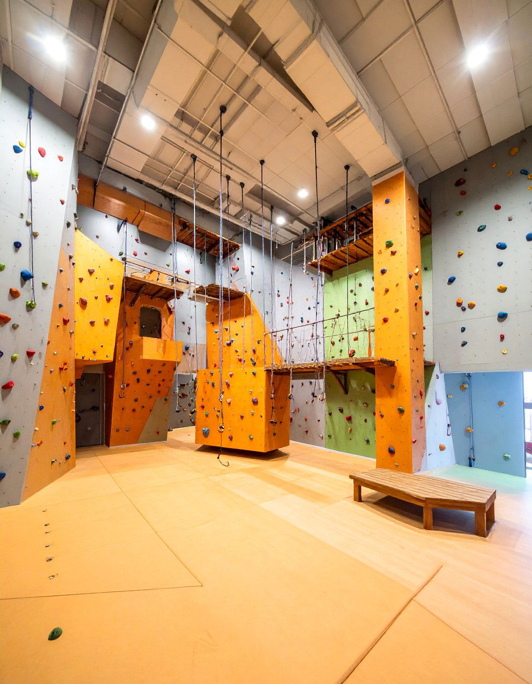 Vertical Climbing Adventure Wall - 25 Cat Room Ideas
