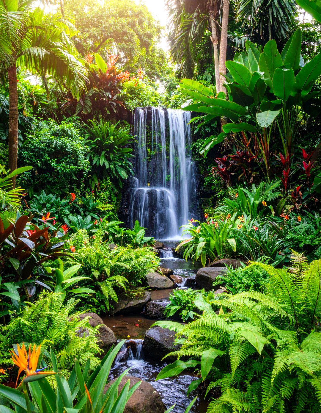 Waterfall Paradise with Lush Foliage - 25 Tropical Garden Ideas