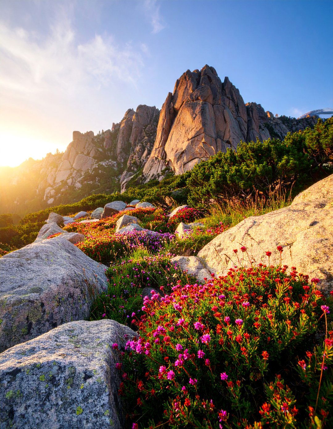 Weathered Granite Boulder Wall with Alpine Plants - 25 Natural Rock Retaining Wall Ideas