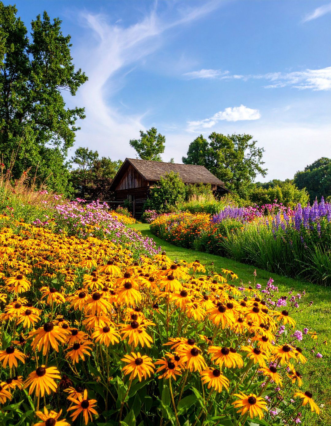 Wildflower Meadow Bed with Native Plants - 25 Flower Bed Ideas