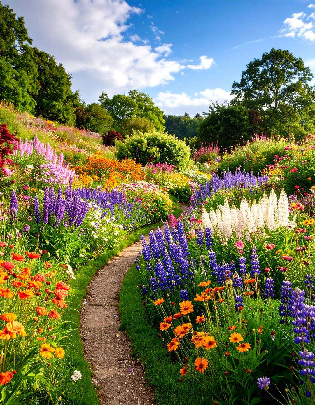 Wildflower Meadow Slope - 25 Sloping Garden Design Ideas