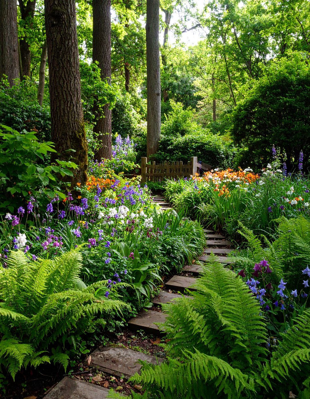 Woodland Edge Perennial Garden - 25 Perennial Flower Bed Ideas