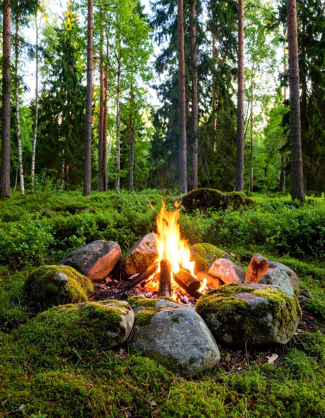 Woodland Retreat Boulder Fire Pit - 25 Boulder Fire Pit Ideas