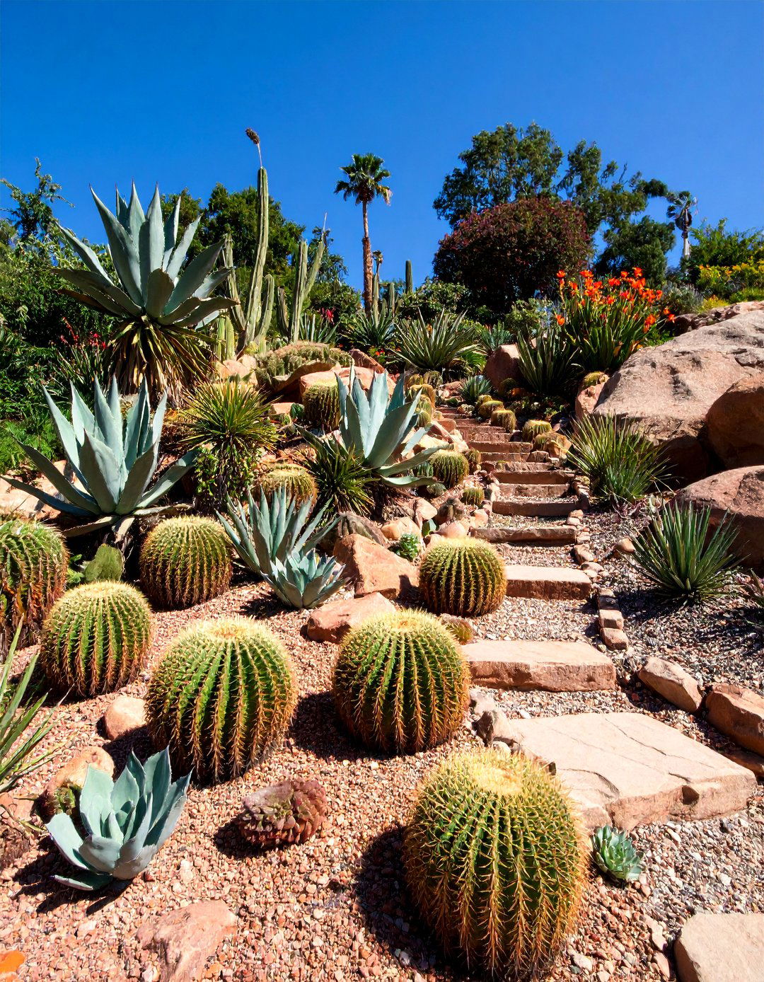 Xeriscape Desert Slope Design - 25 Sloped Garden Ideas